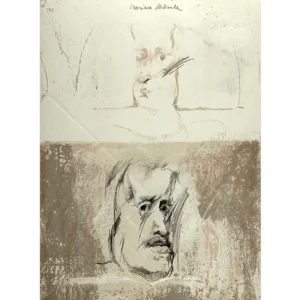 roser bru mariana destinada